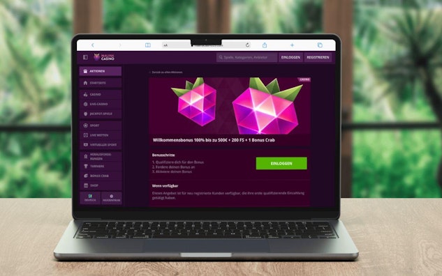 Malina Casino Casino Bonus