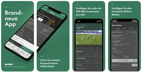Bet365 Hub